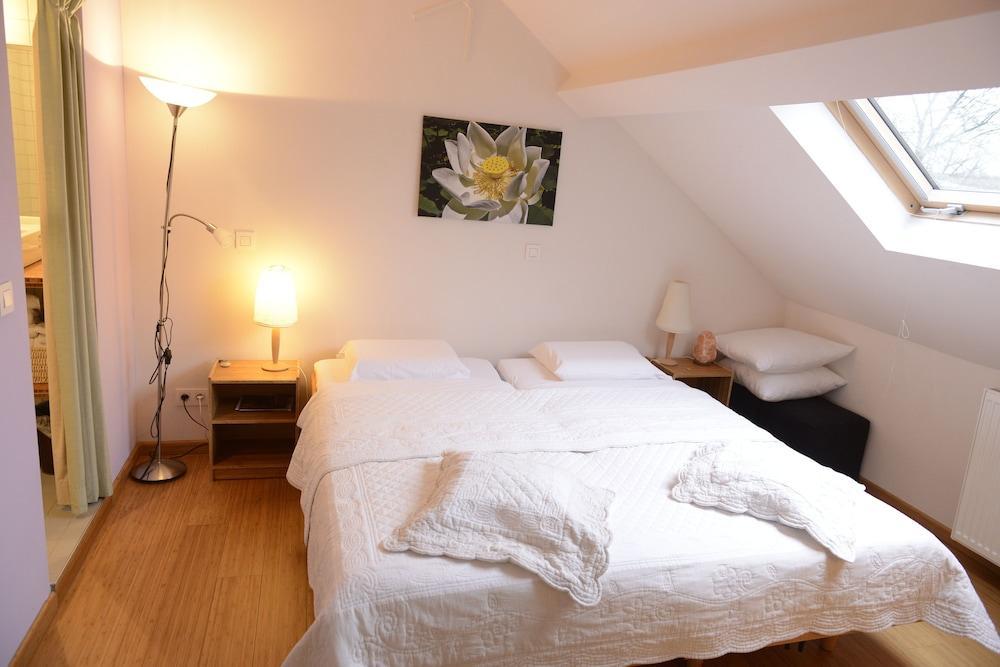B&B Bio Brussels Saint-Gilles Eksteriør billede