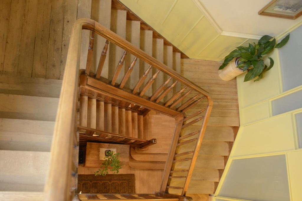 B&B Bio Brussels Saint-Gilles Eksteriør billede